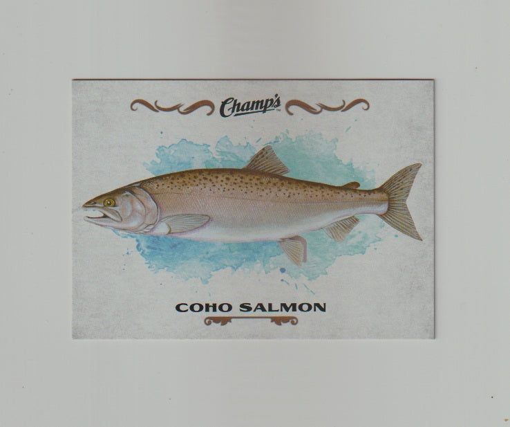 2015-16 Upper Deck Champs Fish #F-8 Coho Salmon