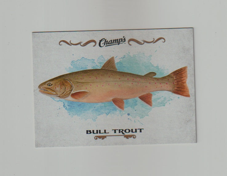 2015-16 Upper Deck Champs Fish #F-9 Bull Trout
