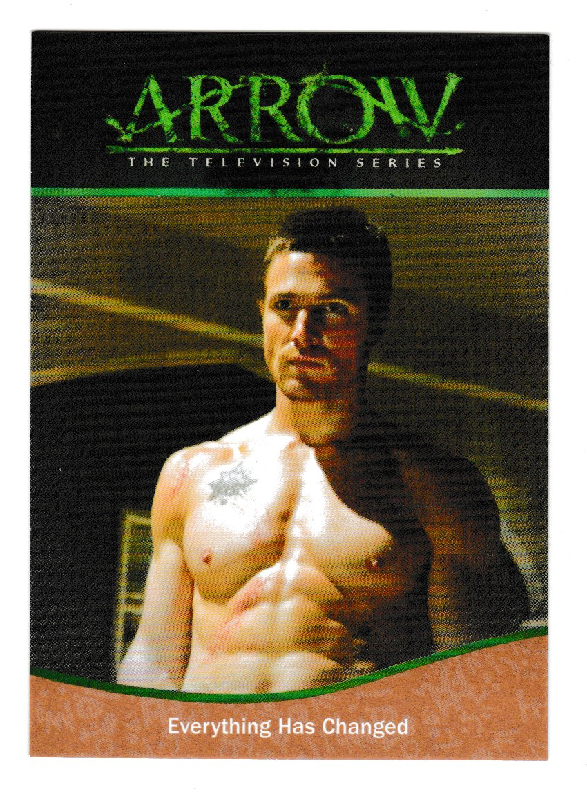 2015 Arrow Season 1 Parallel Bronze #19 Everything Has Changed