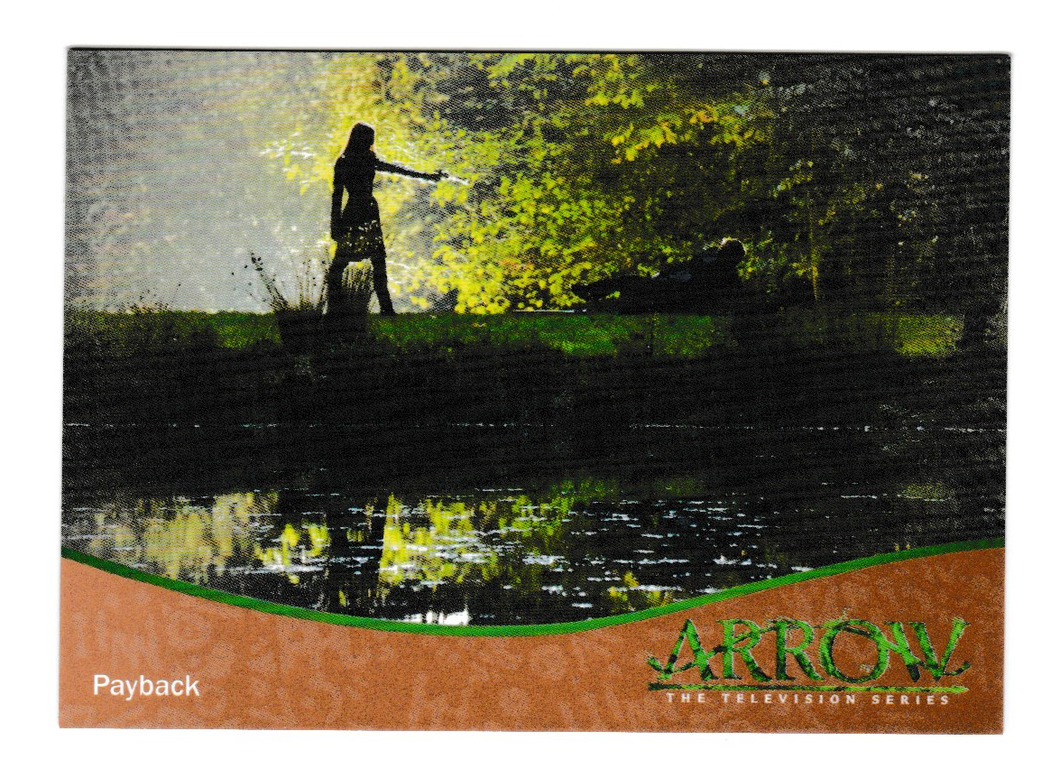2015 Arrow Season 1 Parallel Bronze #48 Payback