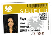 Load image into Gallery viewer, 2015 Marvel Agents of S.H.I.E.L.D. Season 1 ID Cards #BD004 Skye
