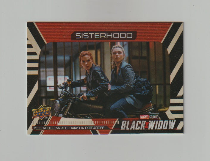 2021 Black Widow Sisterhood #SH-7 Motorcycle