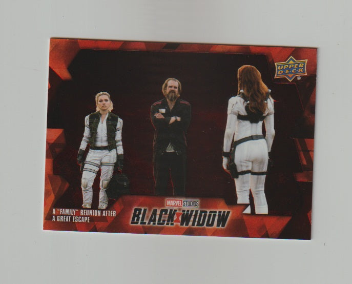 2021 Black Widow #14 Family Together
