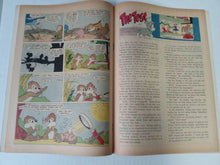 Load image into Gallery viewer, Chip &#39;n&#39; Dale #17
