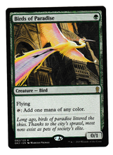 Load image into Gallery viewer, Ravnica Allegiance: Guild Kits Birds of Paradise
