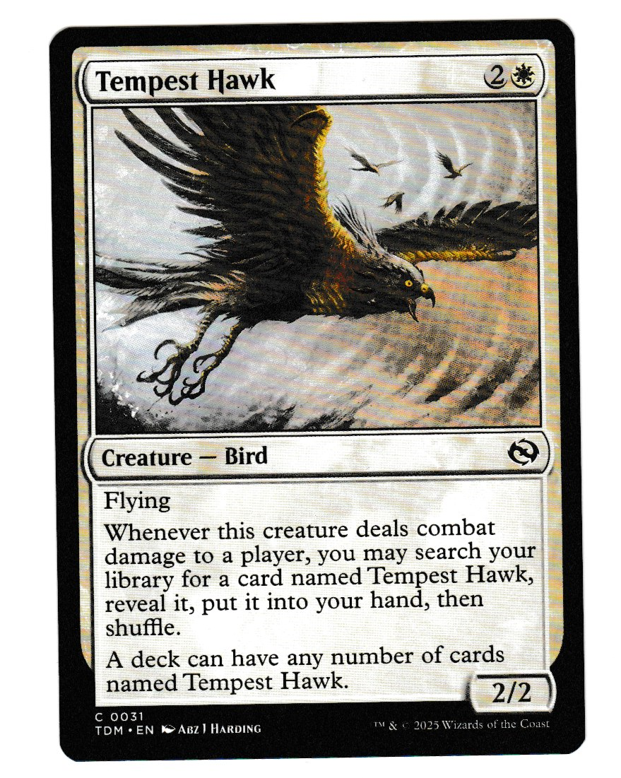 Magic the Gathering Tarkir: Dragonstorm Tempest Hawk