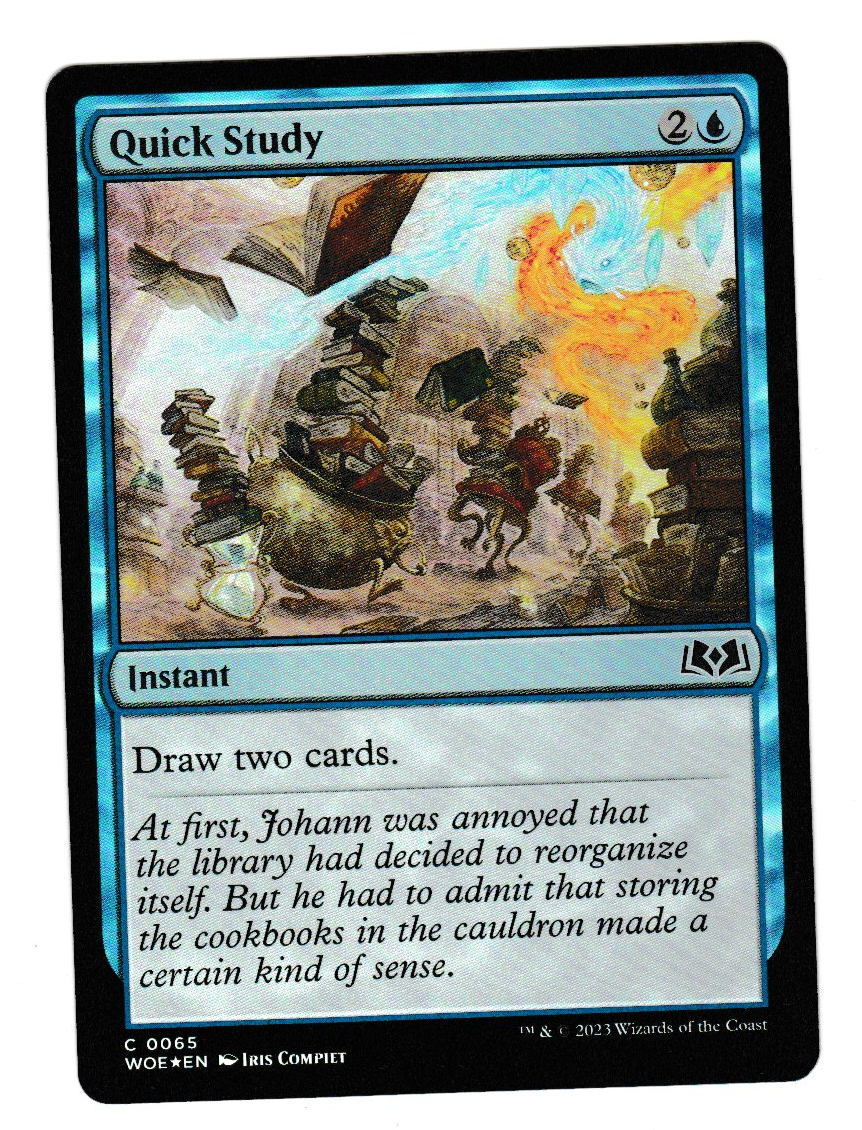 Wilds of Eldraine Quick Study Foil