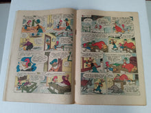 Load image into Gallery viewer, Woody Woodpecker #18
