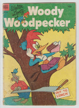 Load image into Gallery viewer, Woody Woodpecker #18
