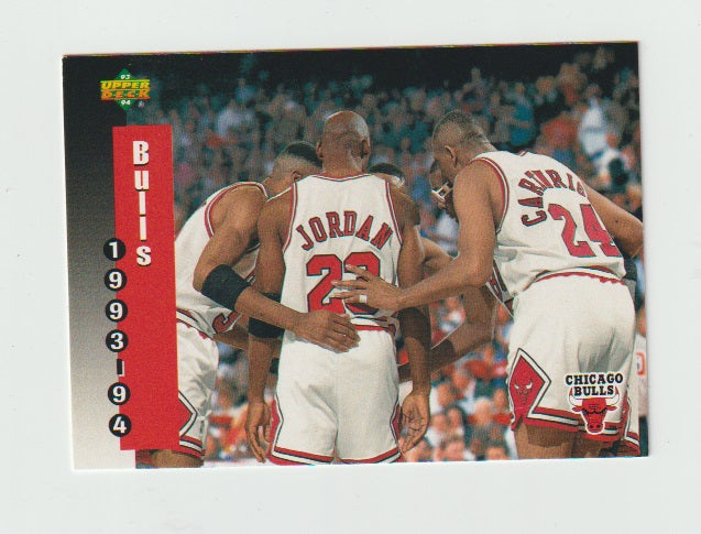 1993-94 Upper Deck #213 Michael Jordan