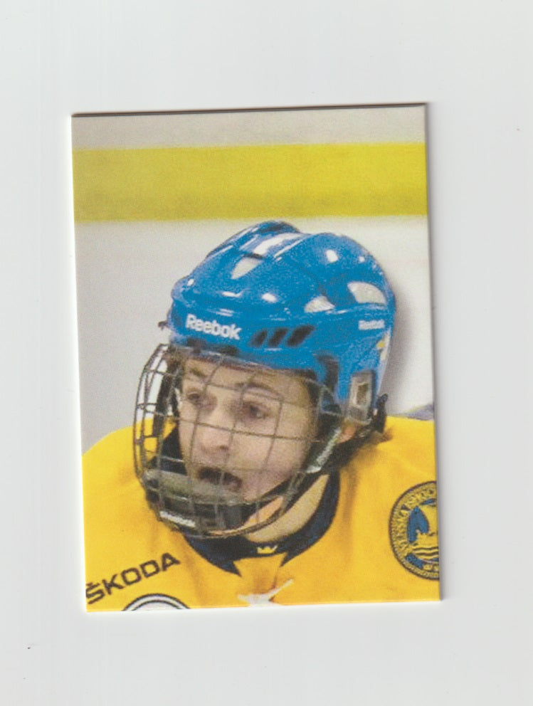 2013-14 ITG Heroes and Prospects He Shoots- He Scores William Nylander