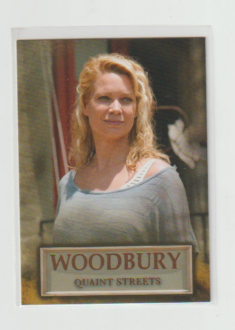 2014 Walking Dead Season 3 P2 Woodbury #WB-02 Quaint Streets