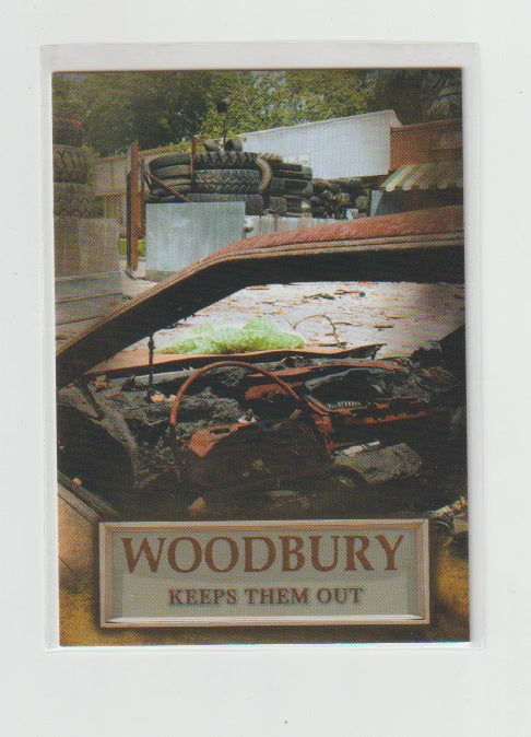 2014 Walking Dead Season 3 P2 Woodbury #WB-05 Keeps Them Out