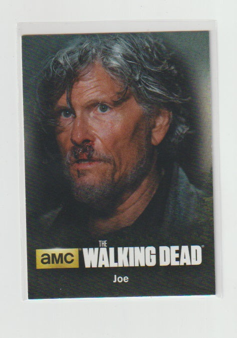 2016 Walking Dead Season 4 P2 Character Bios #C18 Joe