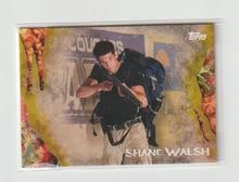 Load image into Gallery viewer, 2016 Walking Dead Survival Box Infected #9 Shane Walsh
