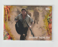 Load image into Gallery viewer, 2016 Walking Dead Survival Box Infected #9 Shane Walsh
