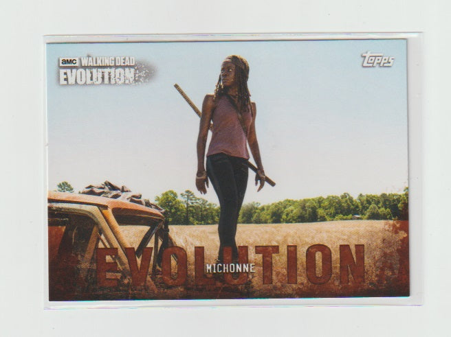 2017 Walking Dead Evolution Brown #44 Michonne