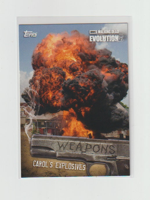 2017 Walking Dead Evolution Weapons #W-3 Carols Explosives