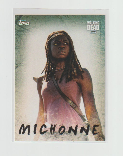 2017 Walking Dead Season 7 Characters #C-6 Michonne