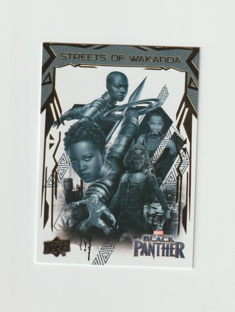 2018 Black Panther Streets of Wakanda #SW14 Wakandan Pride