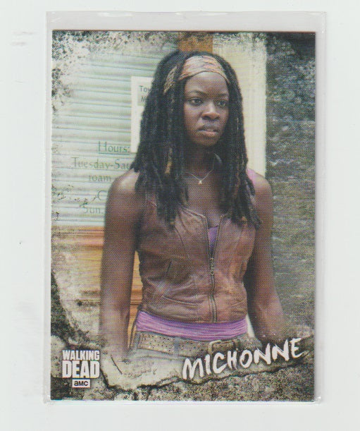 2018 Walking Dead Road To Alexandria Characters #C10 Michonne