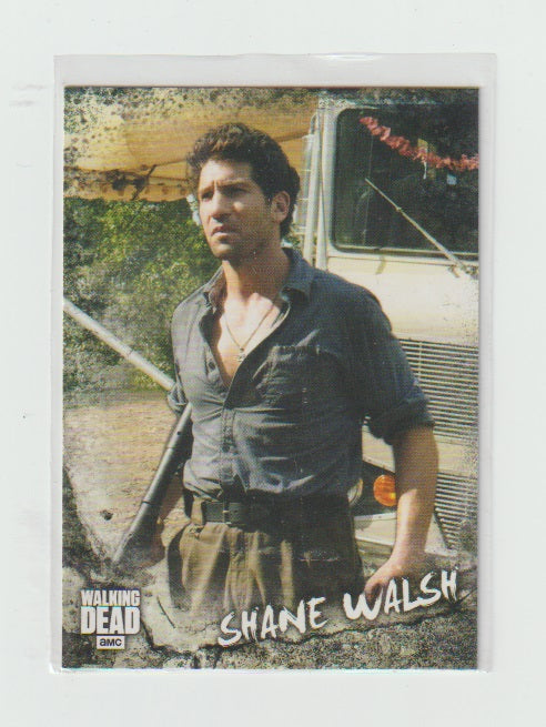 2018 Walking Dead Road To Alexandria Characters #C4 Shane Walsh