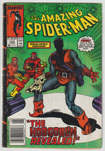 Load image into Gallery viewer, Amazing Spider-Man #289
