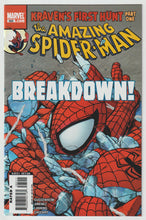 Load image into Gallery viewer, Amazing Spider-Man #565
