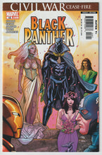 Load image into Gallery viewer, Black Panther v4 #18
