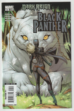 Load image into Gallery viewer, Black Panther v5 #4
