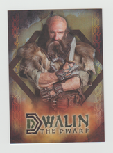 Load image into Gallery viewer, 2014 The Hobbit An Unexpected Journey Character Biography #CB-04 Dwalin the Dwarf
