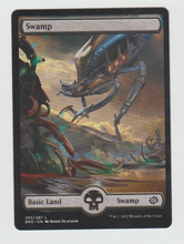 Load image into Gallery viewer, The Brothers&#39; War Swamp (283)
