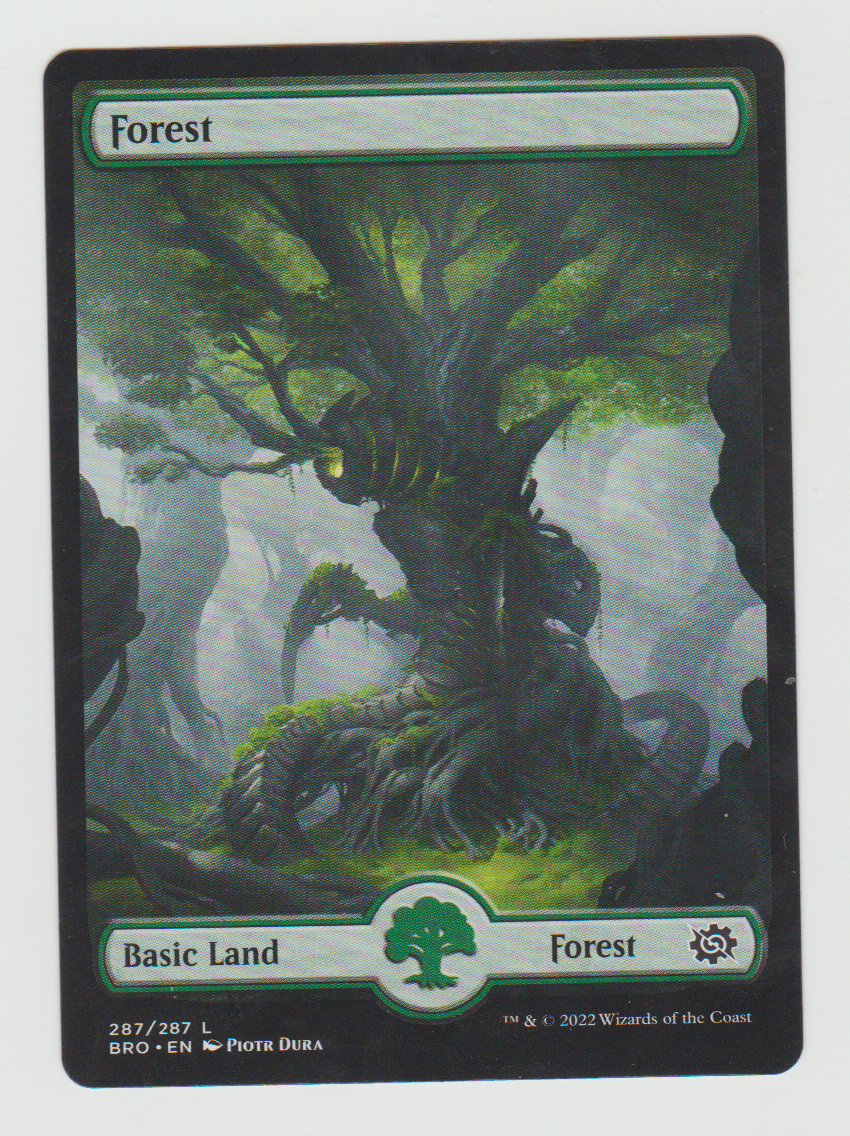 The Brothers' War Forest (287)